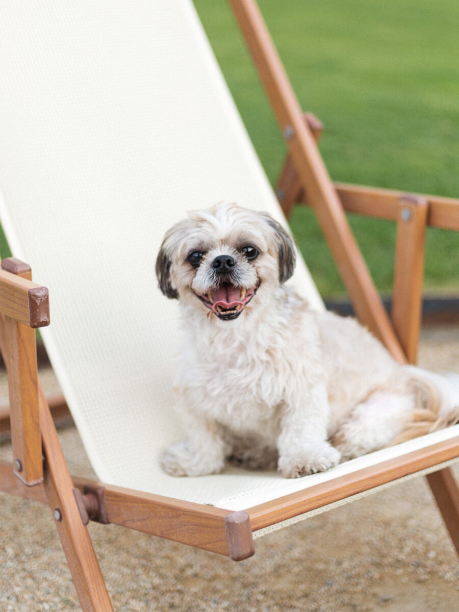 Pet Friendly Hotel in Palm Springs, CA Ingleside Estate