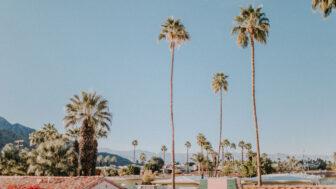 blue skies and palm trees in downtown palm springs